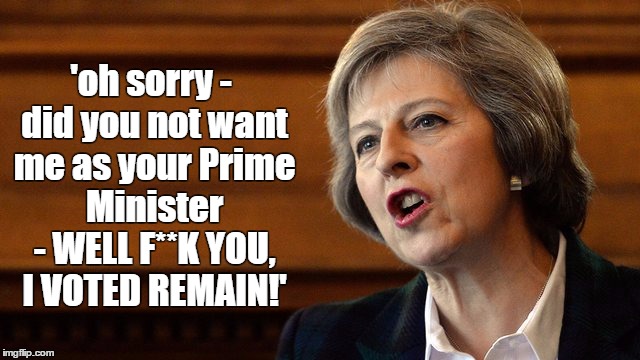 want me | 'oh sorry - did you not want me as your Prime Minister - WELL F**K YOU, I VOTED REMAIN!' | image tagged in theresa may,prime minister,vote leave,brexit,funny | made w/ Imgflip meme maker