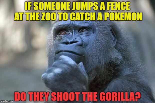 The thinking gorilla | IF SOMEONE JUMPS A FENCE AT THE ZOO TO CATCH A POKEMON; DO THEY SHOOT THE GORILLA? | image tagged in the thinking gorilla,memes,pokemon,pokemon go,catch all the pokemon,shoot the gorilla | made w/ Imgflip meme maker