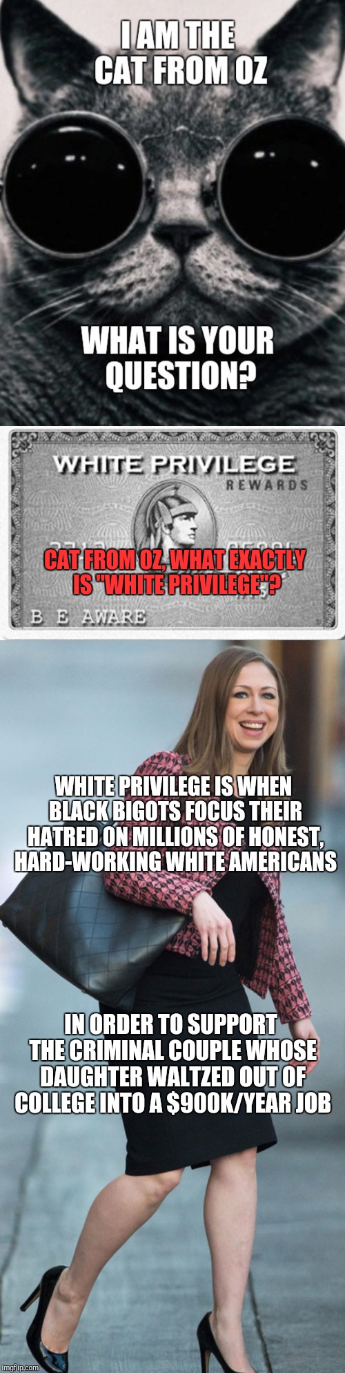 CAT FROM OZ, WHAT EXACTLY IS "WHITE PRIVILEGE"? WHITE PRIVILEGE IS WHEN BLACK BIGOTS FOCUS THEIR HATRED ON MILLIONS OF HONEST, HARD-WORKING  | made w/ Imgflip meme maker