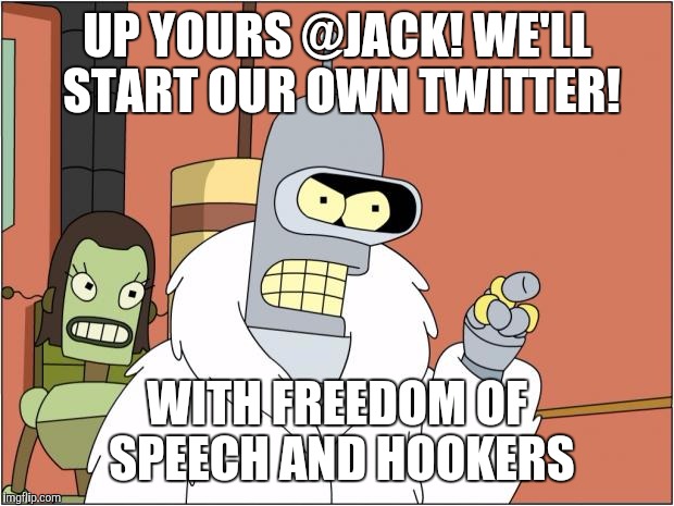 Twitter banned @nero? | UP YOURS @JACK! WE'LL START OUR OWN TWITTER! WITH FREEDOM OF SPEECH AND HOOKERS | image tagged in memes,bender,twitter,milo yiannopoulos | made w/ Imgflip meme maker