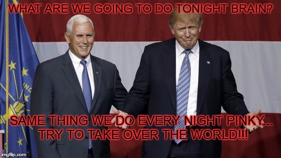 not quite Pinky or the the Brain | WHAT ARE WE GOING TO DO TONIGHT BRAIN? SAME THING WE DO EVERY NIGHT PINKY... TRY TO TAKE OVER THE WORLD!!! | image tagged in donald trump,mike pence,pinky and the brain,republican national convention | made w/ Imgflip meme maker