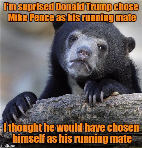 He seems like the type of guy who would chose himself | I'm suprised Donald Trump chose Mike Pence as his running mate; I thought he would have chosen himself as his running mate | image tagged in memes,confession bear,donald trump,trhtimmy,mike pence | made w/ Imgflip meme maker