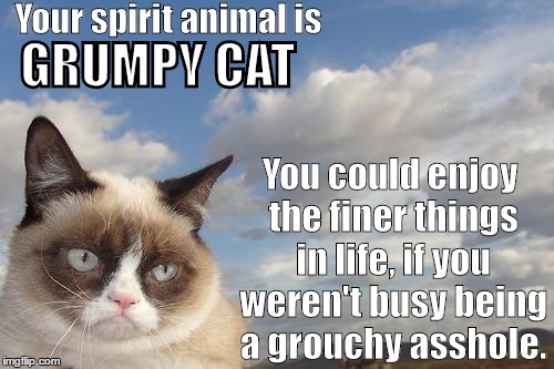Grumpy Cat Spirit Animal | Your spirit animal is; GRUMPY CAT; You could enjoy the finer things in life, if you weren't busy being a grouchy asshole. | image tagged in memes,grumpy cat sky,grumpy cat,spirit animal | made w/ Imgflip meme maker