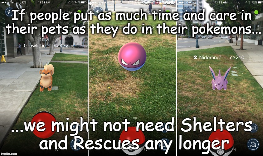 Pokemon Pets?(Feel free to re-post & Share) | If people put as much time and care in their pets as they do in their pokemons... ...we might not need Shelters and Rescues any longer | image tagged in pokemon,animal rescue,dog rescue,adopt don't shop | made w/ Imgflip meme maker