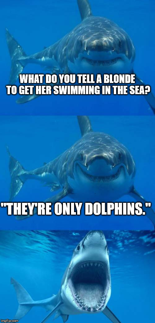 Mwa hahahaha | WHAT DO YOU TELL A BLONDE TO GET HER SWIMMING IN THE SEA? "THEY'RE ONLY DOLPHINS." | image tagged in bad shark pun,funny,aegis_runestone,blonde,dumb blonde | made w/ Imgflip meme maker