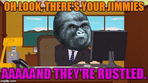 Aaaaand Its Gone | OH LOOK, THERE'S YOUR JIMMIES; AAAAAND THEY'RE RUSTLED. | image tagged in memes,aaaaand its gone,rustle my jimmies,gorilla | made w/ Imgflip meme maker