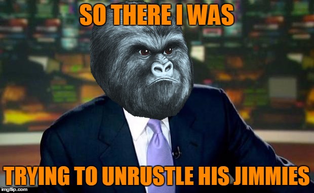 Brian Williams Was There | SO THERE I WAS; TRYING TO UNRUSTLE HIS JIMMIES | image tagged in memes,brian williams was there,rustle my jimmies,gorilla | made w/ Imgflip meme maker