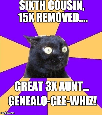 anxiety cat | SIXTH COUSIN, 15X REMOVED.... GREAT 3X AUNT... GENEALO-GEE-WHIZ! | image tagged in anxiety cat | made w/ Imgflip meme maker