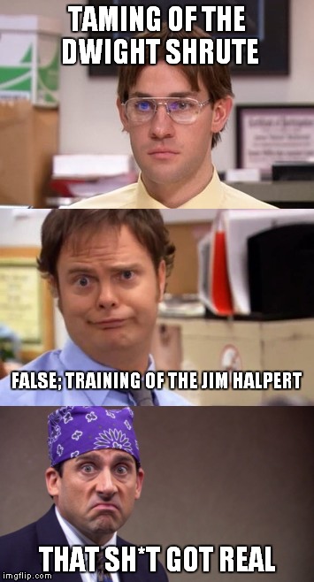 They thought they could keep Dwight down | TAMING OF THE DWIGHT SHRUTE; FALSE; TRAINING OF THE JIM HALPERT; THAT SH*T GOT REAL | image tagged in meme,dwight false,the office,micheal scott,jim halpert | made w/ Imgflip meme maker