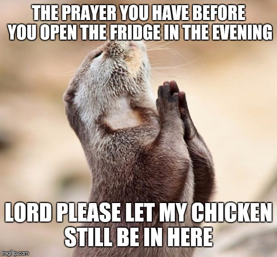 animal praying | THE PRAYER YOU HAVE BEFORE YOU OPEN THE FRIDGE IN THE EVENING; LORD PLEASE LET MY CHICKEN STILL BE IN HERE | image tagged in animal praying | made w/ Imgflip meme maker