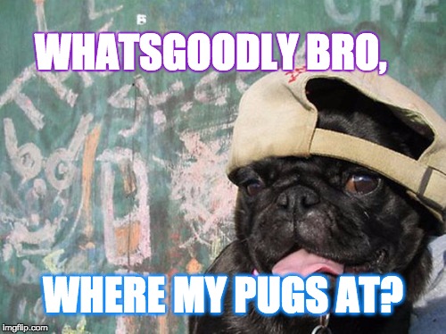 Frat Bro Pug | WHATSGOODLY BRO, WHERE MY PUGS AT? | image tagged in fratboys,pugs,pug,introspective pug,pugdog | made w/ Imgflip meme maker