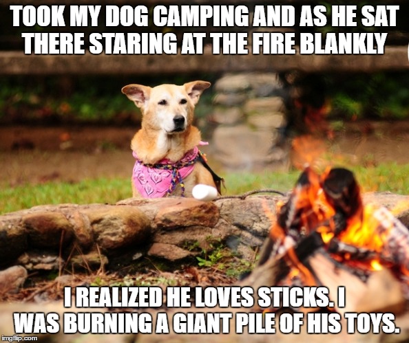 the torture | TOOK MY DOG CAMPING AND AS HE SAT THERE STARING AT THE FIRE BLANKLY; I REALIZED HE LOVES STICKS. I WAS BURNING A GIANT PILE OF HIS TOYS. | image tagged in dog,campfire,toys,sad,funny | made w/ Imgflip meme maker