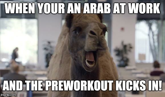 Hump Day Camel | WHEN YOUR AN ARAB AT WORK; AND THE PREWORKOUT KICKS IN! | image tagged in hump day camel | made w/ Imgflip meme maker