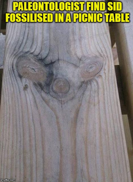 Huge discovery  from the ice age world! | PALEONTOLOGIST FIND SID FOSSILISED IN A PICNIC TABLE | image tagged in sid the sloth,ice age,funny meme,dinosaurs,movies,table | made w/ Imgflip meme maker