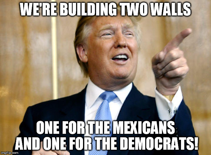 New plan, fellas- | WE'RE BUILDING TWO WALLS; ONE FOR THE MEXICANS AND ONE FOR THE DEMOCRATS! | image tagged in donald trump pointing | made w/ Imgflip meme maker