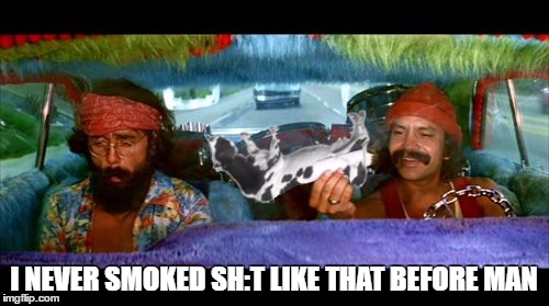 wooooh | I NEVER SMOKED SH:T LIKE THAT BEFORE MAN | image tagged in memes,cheech and chong,420,evil cows | made w/ Imgflip meme maker
