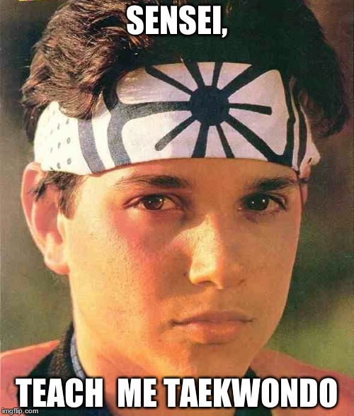 Recently saw the original, thought this would be funny! | SENSEI, TEACH  ME TAEKWONDO | image tagged in karate kid | made w/ Imgflip meme maker
