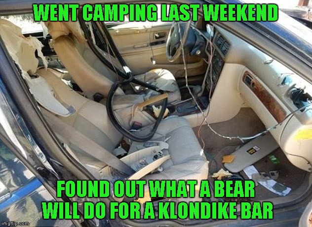 Note to self: If a bear is after you, don't hide in the car. | WENT CAMPING LAST WEEKEND; FOUND OUT WHAT A BEAR WILL DO FOR A KLONDIKE BAR | image tagged in car destroyed,memes,funny,what would you do for a klondike bar,bears | made w/ Imgflip meme maker