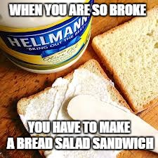 Broke AF. | WHEN YOU ARE SO BROKE; YOU HAVE TO MAKE A BREAD SALAD SANDWICH | image tagged in mayo,mustard,bread,kill me now | made w/ Imgflip meme maker
