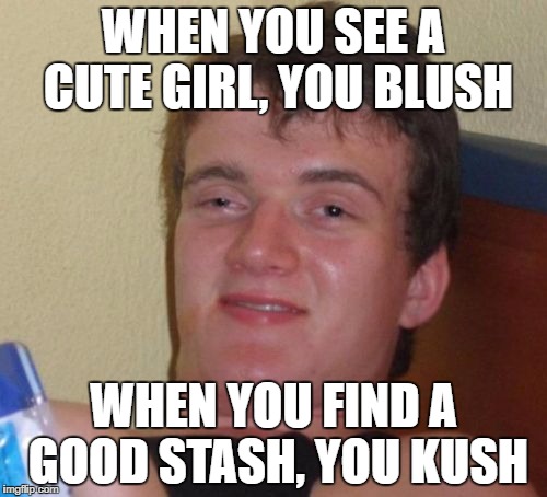 10 Guy Meme | WHEN YOU SEE A CUTE GIRL, YOU BLUSH; WHEN YOU FIND A GOOD STASH, YOU KUSH | image tagged in memes,10 guy | made w/ Imgflip meme maker