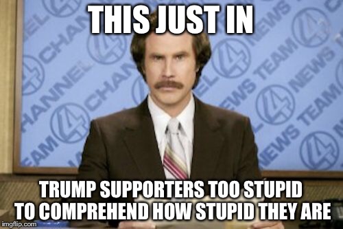 Ron Burgundy Meme | THIS JUST IN; TRUMP SUPPORTERS TOO STUPID TO COMPREHEND HOW STUPID THEY ARE | image tagged in memes,ron burgundy | made w/ Imgflip meme maker