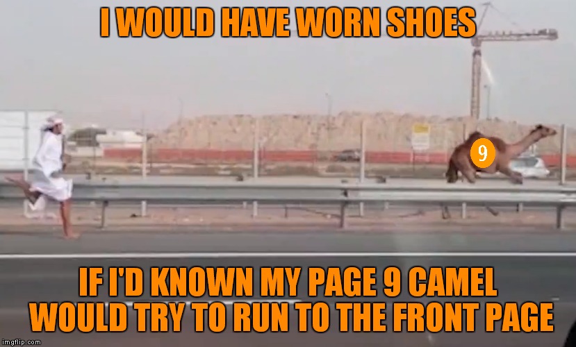 Be prepared to see page 9 memes running up front this week! | I WOULD HAVE WORN SHOES; IF I'D KNOWN MY PAGE 9 CAMEL WOULD TRY TO RUN TO THE FRONT PAGE | image tagged in should have known,camel,running,page 9 party | made w/ Imgflip meme maker