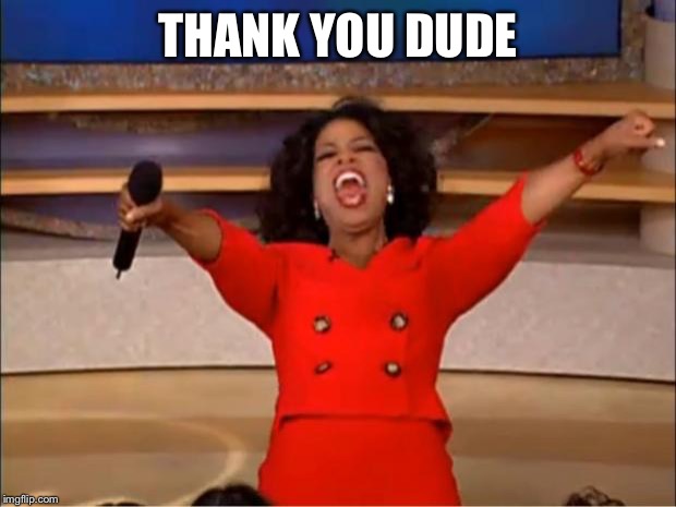 THANK YOU DUDE | image tagged in memes,oprah you get a | made w/ Imgflip meme maker