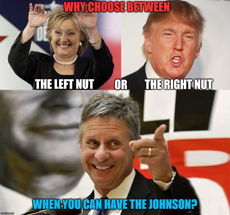 'Murica, you've got a choice to make. | WHY CHOOSE BETWEEN; THE RIGHT NUT; OR; THE LEFT NUT; WHEN YOU CAN HAVE THE JOHNSON? | image tagged in johnson clinton trump,credit to facebook,hillary clinton,donald trump,gary johnson,election 2016 fatigue | made w/ Imgflip meme maker