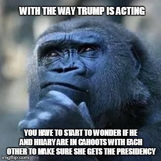 Thinking ape | WITH THE WAY TRUMP IS ACTING; YOU HAVE TO START TO WONDER IF HE AND HILARY ARE IN CAHOOTS WITH EACH OTHER TO MAKE SURE SHE GETS THE PRESIDENCY | image tagged in thinking ape | made w/ Imgflip meme maker