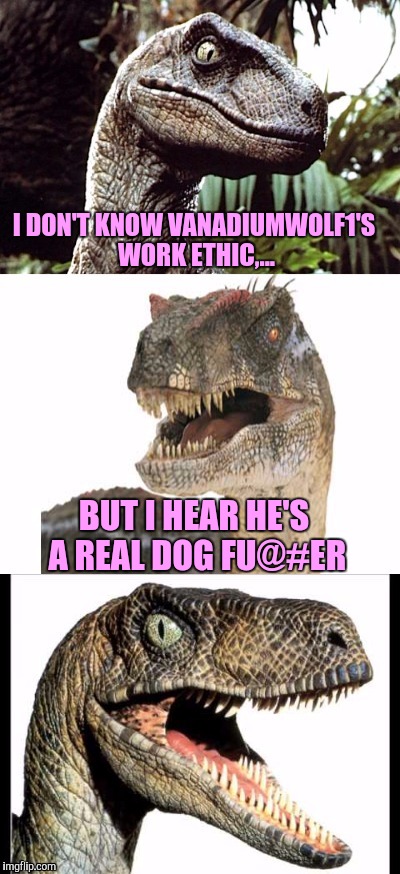 Seriously, the guy says wierd sh!t. But whatever, it's his choice however wierd it is. | I DON'T KNOW VANADIUMWOLF1'S WORK ETHIC,... BUT I HEAR HE'S A REAL DOG FU@#ER | image tagged in bad pun velociraptor,sewmyeyesshut,funny memes,wierdo | made w/ Imgflip meme maker
