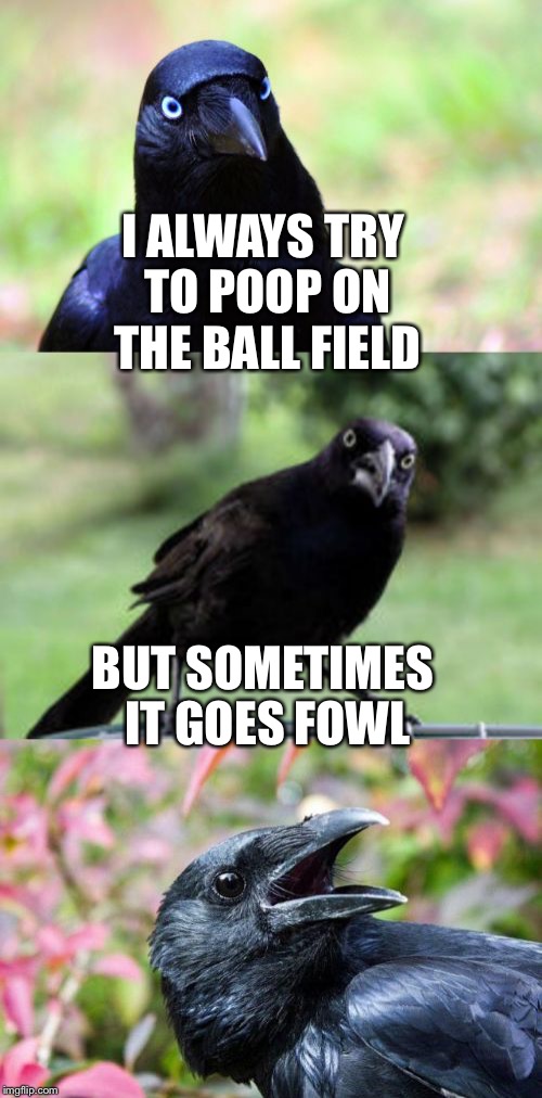 Bad aim bird poop | I ALWAYS TRY TO POOP ON THE BALL FIELD; BUT SOMETIMES IT GOES FOWL | image tagged in memes,bad pun crow,bird | made w/ Imgflip meme maker