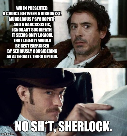 No Sh*t Sherlock (RDJ) | WHEN PRESENTED A CHOICE BETWEEN A DISHONEST, MURDEROUS PSYCHOPATH AND A NARCISSISTIC, IGNORANT SOCIOPATH, IT SEEMS ONLY LOGICAL THAT LIBERTY WOULD BE BEST EXERCISED BY SERIOUSLY CONSIDERING AN ALTERNATE THIRD OPTION. NO SH*T, SHERLOCK. | image tagged in no sht sherlock rdj,hillary clinton,donald trump,election 2016,gary johnson | made w/ Imgflip meme maker