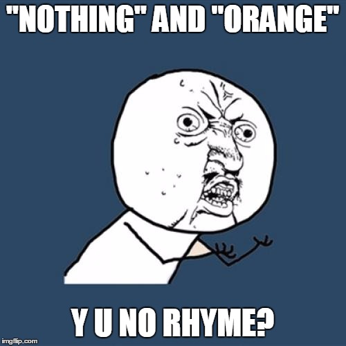 Y U No Meme | "NOTHING" AND "ORANGE" Y U NO RHYME? | image tagged in memes,y u no | made w/ Imgflip meme maker