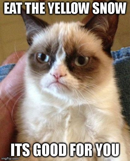 Grumpy Cat Meme | EAT THE YELLOW SNOW ITS GOOD FOR YOU | image tagged in memes,grumpy cat | made w/ Imgflip meme maker