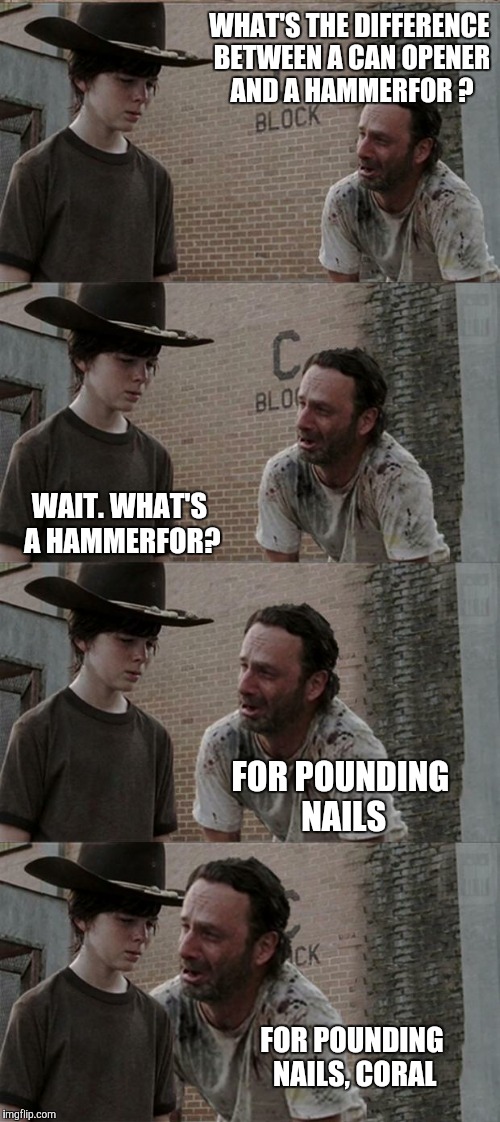 An old one but a bad one | WHAT'S THE DIFFERENCE BETWEEN A CAN OPENER AND A HAMMERFOR ? WAIT. WHAT'S A HAMMERFOR? FOR POUNDING NAILS; FOR POUNDING NAILS, CORAL | image tagged in memes,rick and carl long | made w/ Imgflip meme maker