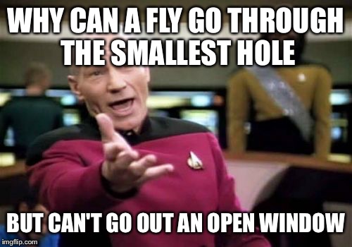 Picard Wtf Meme | WHY CAN A FLY GO THROUGH THE SMALLEST HOLE; BUT CAN'T GO OUT AN OPEN WINDOW | image tagged in memes,picard wtf | made w/ Imgflip meme maker