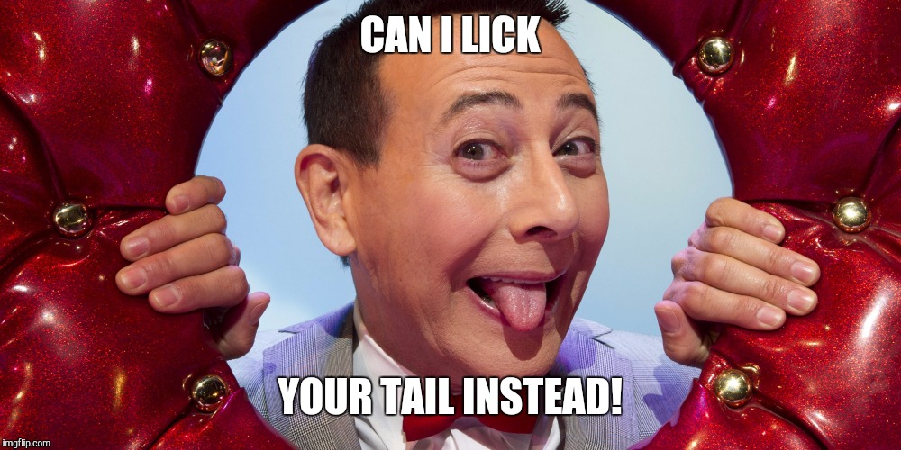 CAN I LICK YOUR TAIL INSTEAD! | made w/ Imgflip meme maker
