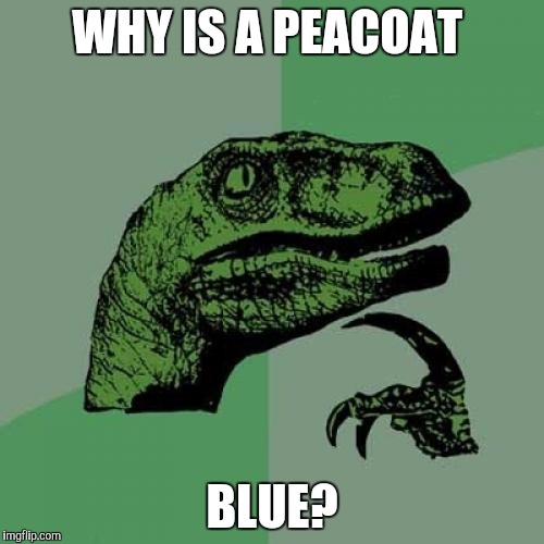 Shouldn't it be green? | WHY IS A PEACOAT BLUE? | image tagged in memes,philosoraptor | made w/ Imgflip meme maker