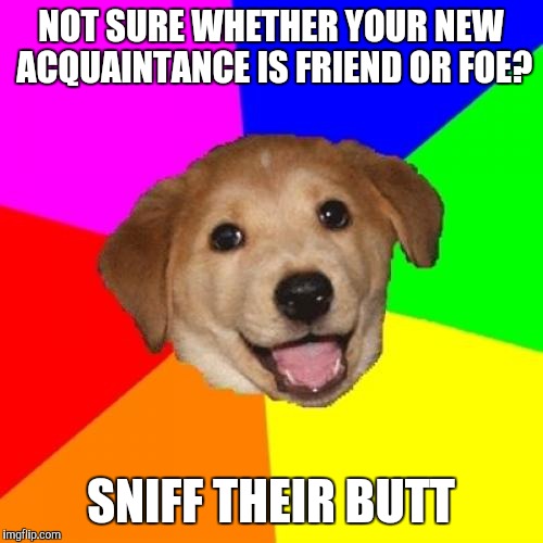 Creepy Advice Dog | NOT SURE WHETHER YOUR NEW ACQUAINTANCE IS FRIEND OR FOE? SNIFF THEIR BUTT | image tagged in memes,advice dog,dog says | made w/ Imgflip meme maker