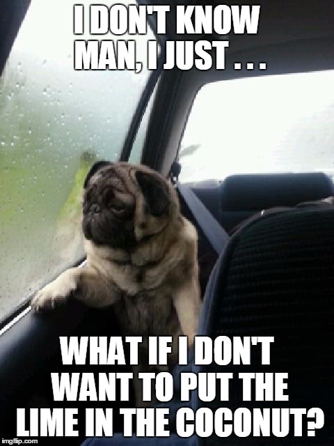 Introspective Pug | I DON'T KNOW MAN, I JUST . . . WHAT IF I DON'T WANT TO PUT THE LIME IN THE COCONUT? | image tagged in introspective pug,meme,memes,lime,coconut,decisions | made w/ Imgflip meme maker
