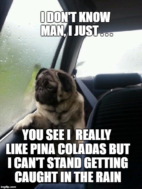 I DON'T KNOW MAN, I JUST . . . YOU SEE I  REALLY LIKE PINA COLADAS BUT I CAN'T STAND GETTING CAUGHT IN THE RAIN | made w/ Imgflip meme maker