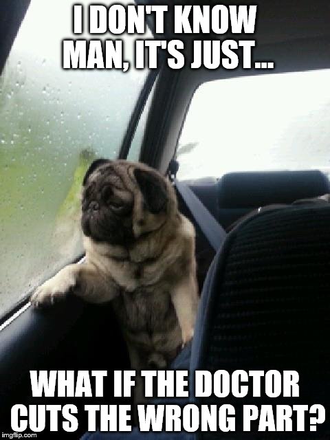 Introspective Pug | I DON'T KNOW MAN, IT'S JUST... WHAT IF THE DOCTOR CUTS THE WRONG PART? | image tagged in introspective pug | made w/ Imgflip meme maker