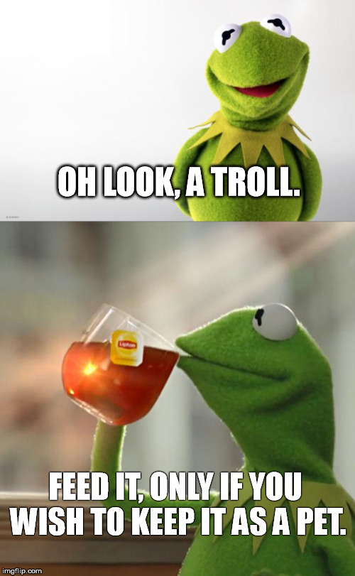 Kermit's Advice Regarding Trolls | OH LOOK, A TROLL. FEED IT, ONLY IF YOU WISH TO KEEP IT AS A PET. | image tagged in kermit the frog,don't feed the trolls | made w/ Imgflip meme maker