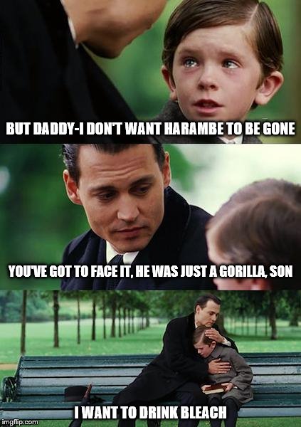 Finding Neverland Meme | BUT DADDY-I DON'T WANT HARAMBE TO BE GONE; YOU'VE GOT TO FACE IT, HE WAS JUST A GORILLA, SON; I WANT TO DRINK BLEACH | image tagged in memes,finding neverland | made w/ Imgflip meme maker