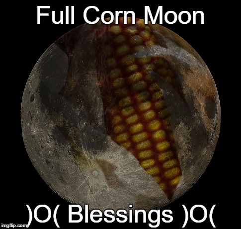 Full Corn Moon | Full Corn Moon; )O( Blessings )O( | image tagged in august,paganism,wicca | made w/ Imgflip meme maker