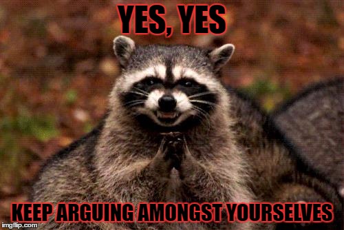 Evil Plotting Raccoon | YES, YES; KEEP ARGUING AMONGST YOURSELVES | image tagged in memes,evil plotting raccoon,template quest,funny | made w/ Imgflip meme maker