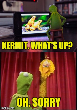 Embarrassing! | KERMIT. WHAT'S UP? OH, SORRY | image tagged in kermit the frog | made w/ Imgflip meme maker