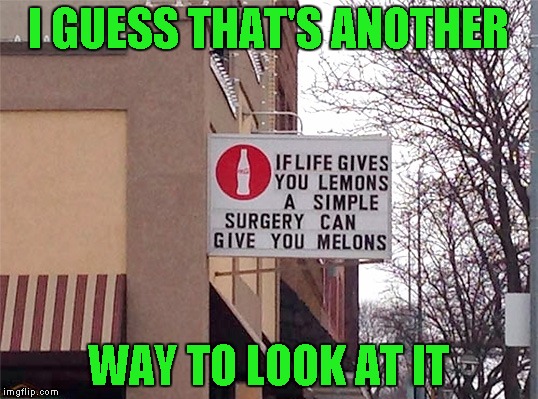If I had my own, I'd play with them for hours...LOL | I GUESS THAT'S ANOTHER; WAY TO LOOK AT IT | image tagged in when life gives you lemons,memes,lemons,funny,funny signs | made w/ Imgflip meme maker