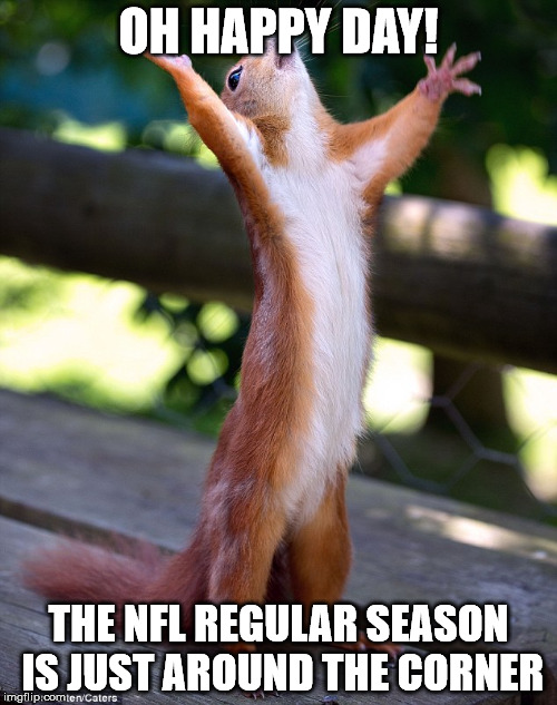 happy squirrel | OH HAPPY DAY! THE NFL REGULAR SEASON IS JUST AROUND THE CORNER | image tagged in happy squirrel | made w/ Imgflip meme maker