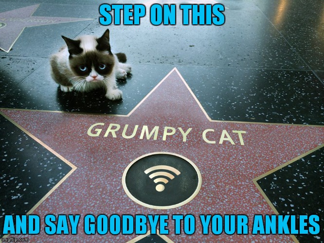 Walk this way.. Limp away.. | STEP ON THIS; AND SAY GOODBYE TO YOUR ANKLES | image tagged in grumpy cat,grumpy cat star wars,hollywood,famous | made w/ Imgflip meme maker